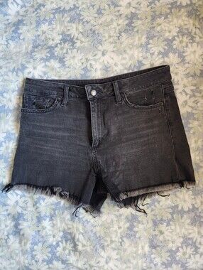 Joe's High Rise Distressed Gray Shorts Size 28